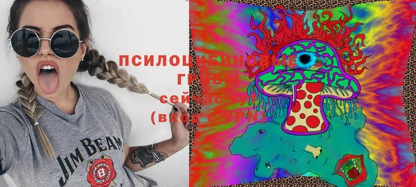 ECSTASY Пролетарск