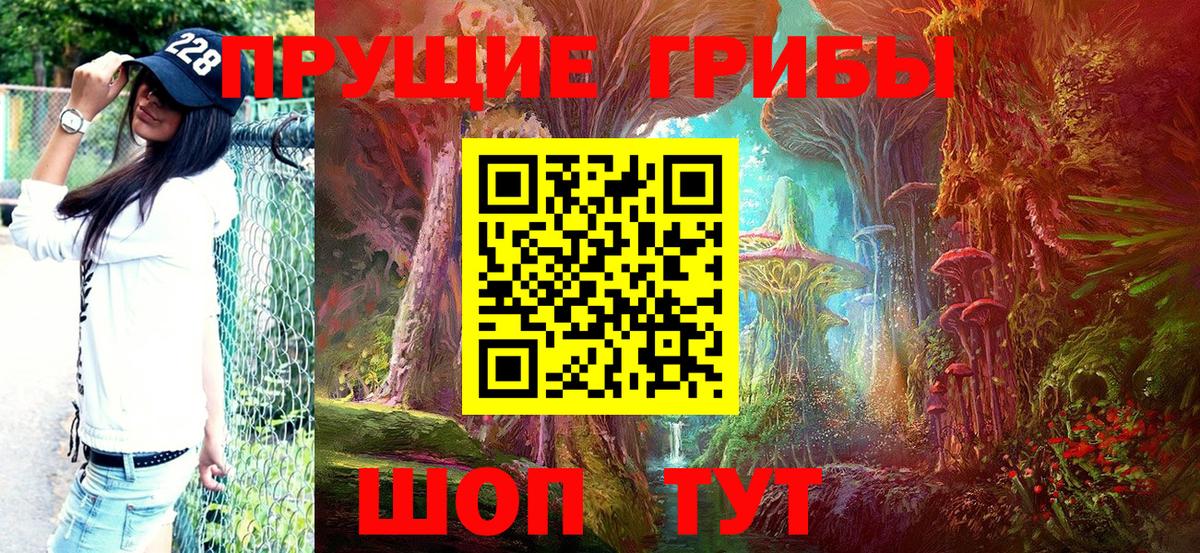 Псилоцибиновые грибы GOLDEN TEACHER  Вход с VPN  Ишим 
