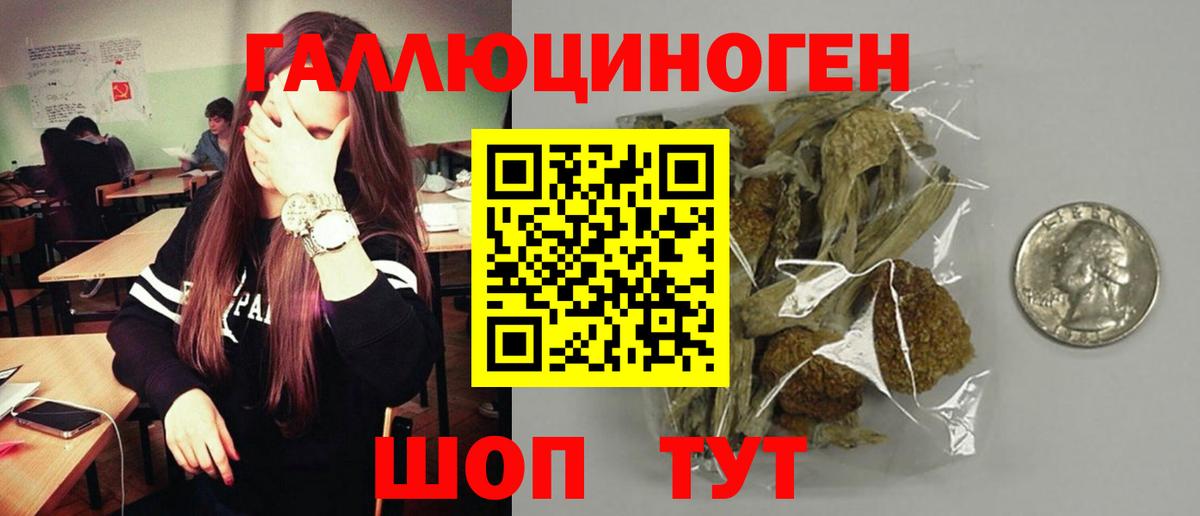 Псилоцибиновые грибы прущие грибы Ишим