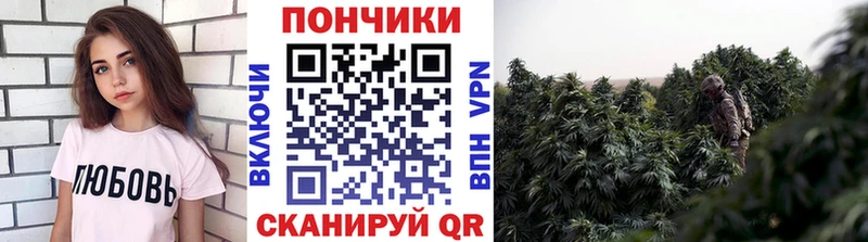 продажа наркотиков  Ишим  Бошки марихуана ГИДРОПОН 
